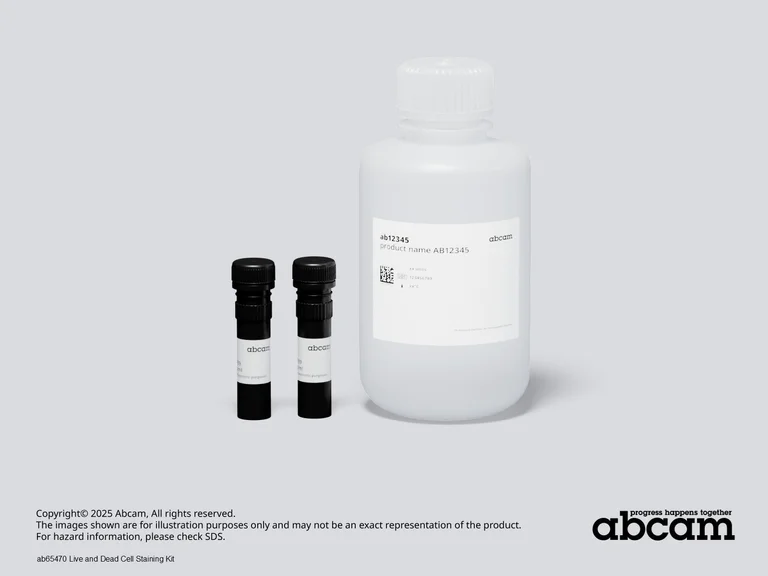 Schematic Diagram - Live and Dead Cell Staining Kit (AB65470)