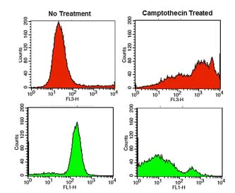 Flow Cytometry - Live/Dead Cell Viability Assay Kit (AB287858)
