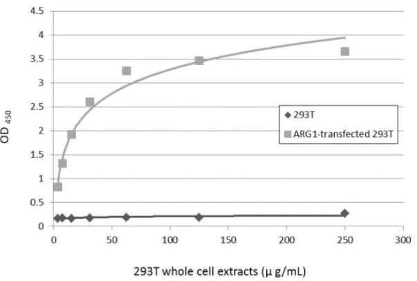 ELISA - Anti-Liver Arginase antibody (AB96183)