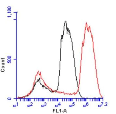 Flow Cytometry - Anti-Liver Arginase antibody (AB96183)