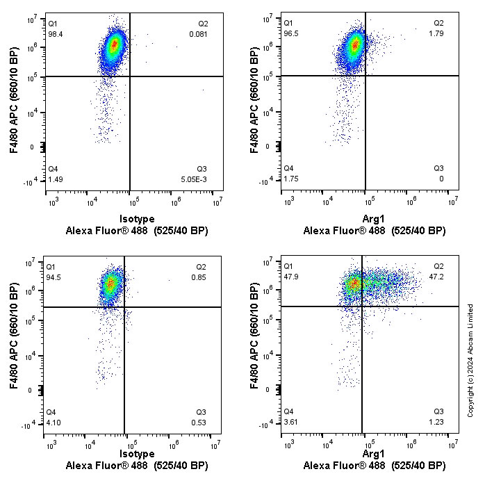 Flow Cytometry (Intracellular) - Anti-Liver Arginase antibody [EPR22033-369] (ab233548), expandable thumbnail