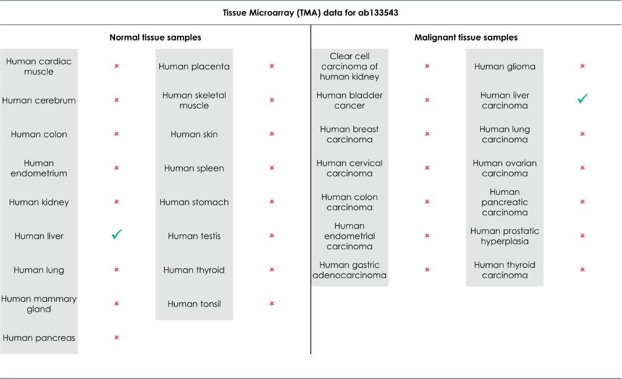 Immunohistochemistry (Formalin/PFA-fixed paraffin-embedded sections) - Anti-Liver Arginase antibody [EPR6672(B)] - BSA and Azide free (AB211961)