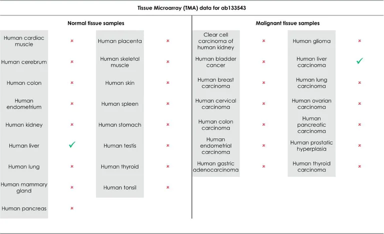 Immunohistochemistry (Formalin/PFA-fixed paraffin-embedded sections) - Anti-Liver Arginase antibody [EPR6672(B)] - BSA and Azide free (AB211961)