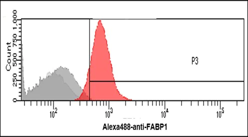 Flow Cytometry - Anti-liver FABP antibody [2G4] (AB82157)