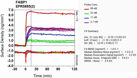 OI-RD Scanning - Anti-liver FABP antibody [EPR5895(2)] (AB129203), expandable thumbnail
