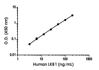 Sandwich ELISA - Anti-LKB1 antibody [EPR19490-176] - BSA and Azide free (Detector) (AB244998)