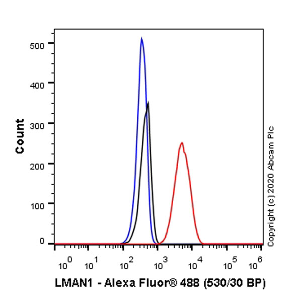Flow Cytometry (Intracellular) - Anti-LMAN1 antibody [EPR6979] (AB125006), expandable thumbnail