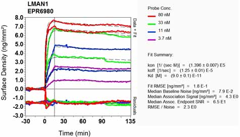 OI-RD Scanning - Anti-LMAN1 antibody [EPR6980] (AB126720), expandable thumbnail