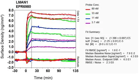 OI-RD Scanning - Anti-LMAN1 antibody [EPR6980] (AB126720)
