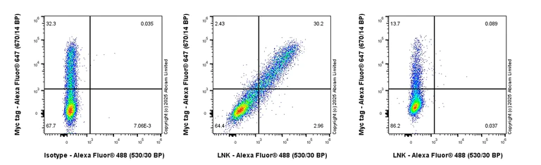 Flow Cytometry (Intracellular) - Anti-LNK antibody [EPR29362-561] (AB324675)