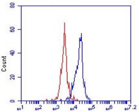Flow Cytometry - Anti-LOX 1 antibody [23C11] (AB81709), expandable thumbnail