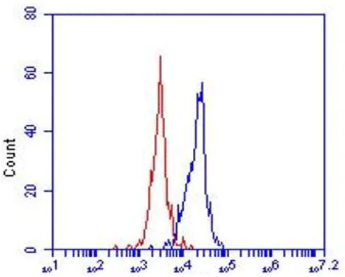 Flow Cytometry - Anti-LOX 1 antibody [23C11] (AB81709)