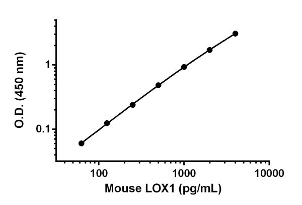Sandwich ELISA - Anti-LOX 1 antibody [EPR17832-170] - BSA and Azide free (Capture) (AB242508), expandable thumbnail