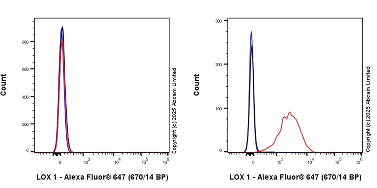 Flow Cytometry - Anti-LOX 1 antibody [EPR27185-134] (AB325339)