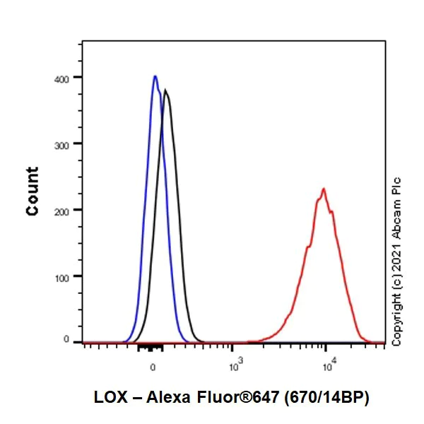 Flow Cytometry (Intracellular) - Anti-LOX antibody [EPR4025] (AB174316)