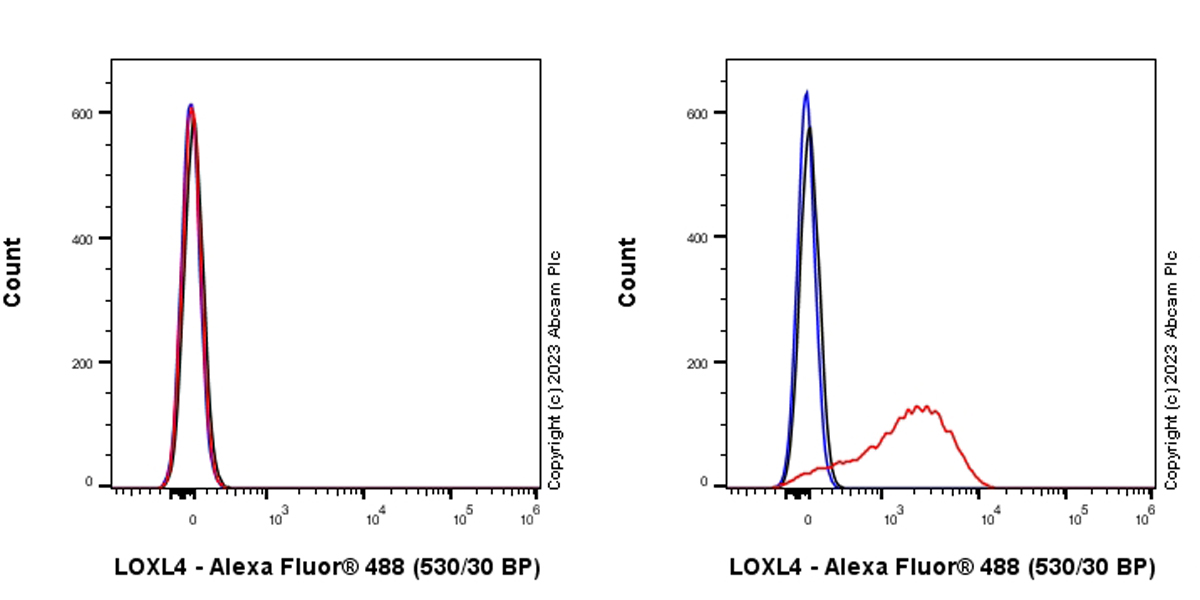 Flow Cytometry (Intracellular) - Anti-LOXL4 antibody [EPR28300-90] (AB313797), expandable thumbnail