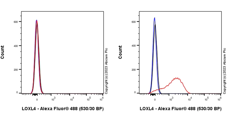 Flow Cytometry (Intracellular) - Anti-LOXL4 antibody [EPR28300-90] (AB313797)