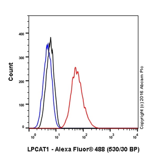 Flow Cytometry (Intracellular) - Anti-LPCAT1 antibody [EPR19882] - BSA and Azide free (ab251545), expandable thumbnail