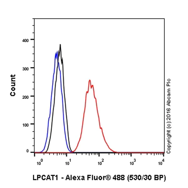 Flow Cytometry (Intracellular) - Anti-LPCAT1 antibody [EPR19882] - BSA and Azide free (AB251545)