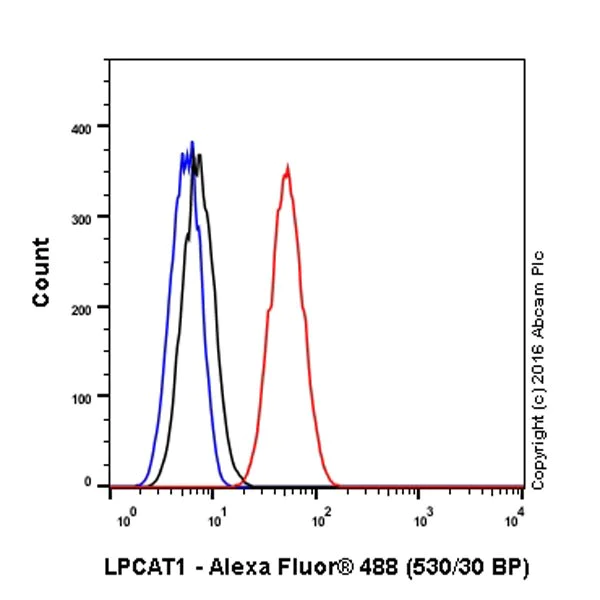 Flow Cytometry (Intracellular) - Anti-LPCAT1 antibody [EPR19882] - BSA and Azide free (AB251545)