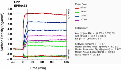OI-RD Scanning - Anti-LPP antibody [EPR6478] - BSA and Azide free (AB248124), expandable thumbnail