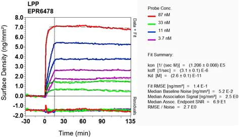 OI-RD Scanning - Anti-LPP antibody [EPR6478] - BSA and Azide free (AB248124)