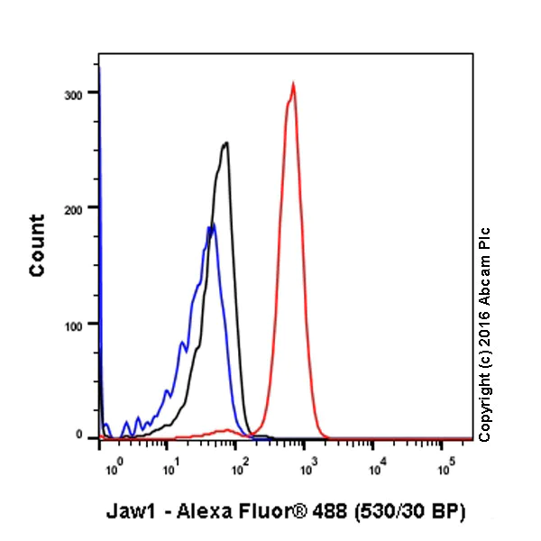 Flow Cytometry (Intracellular) - Anti-LRMP antibody [EPR17852] (AB202418)