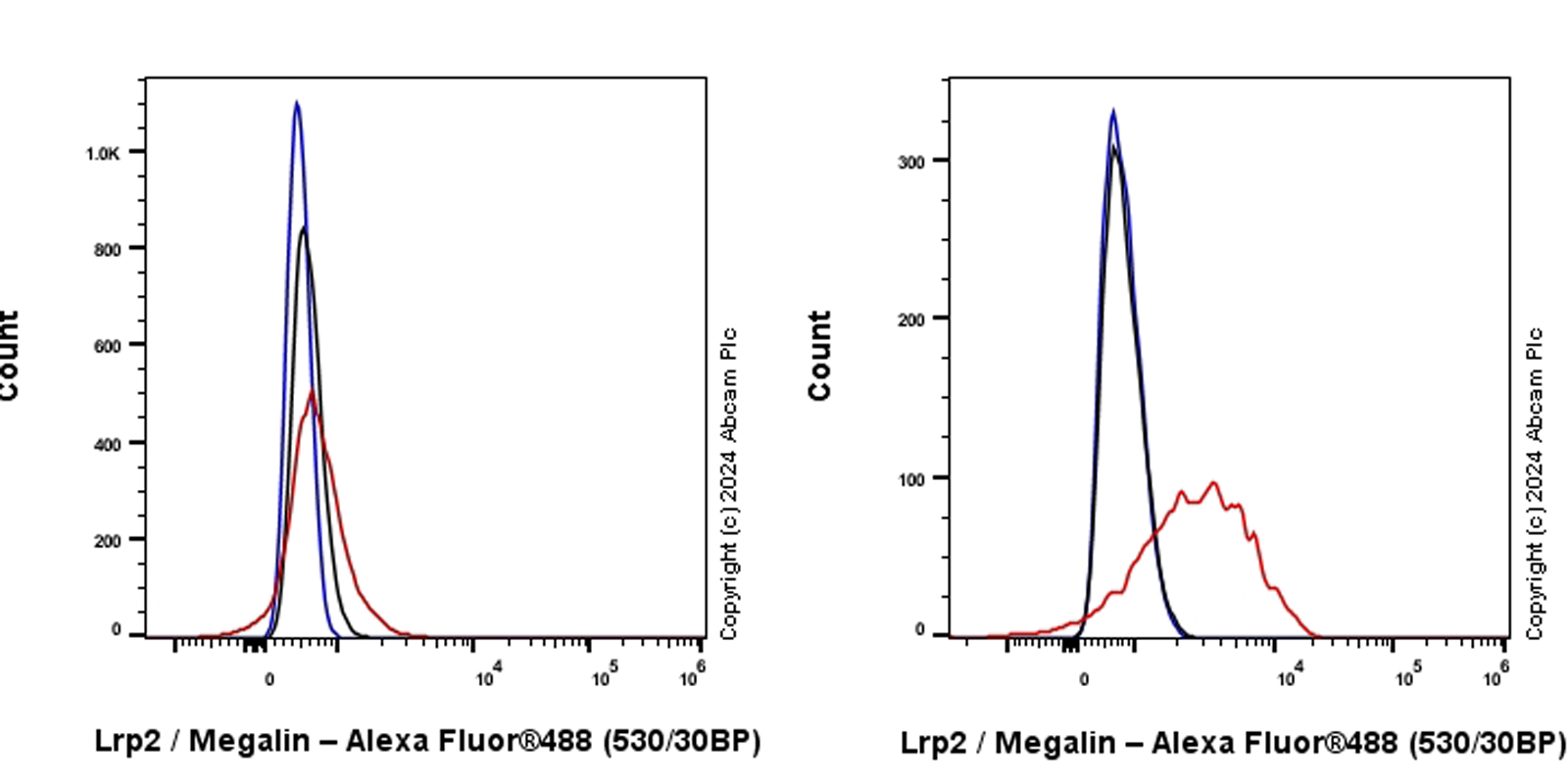 Flow Cytometry - Anti-Lrp2 / Megalin antibody [RM1150] - BSA and Azide free (AB317334), expandable thumbnail