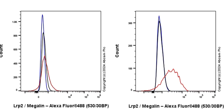 Flow Cytometry - Anti-Lrp2 / Megalin antibody [RM1150] - BSA and Azide free (AB317334)