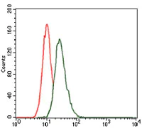 Flow Cytometry - Anti-LRP5 antibody [2B11] (AB129357)