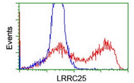 Flow Cytometry (Intracellular) - Anti-LRRC25/MAPA antibody [OTI1D9] (AB236395)