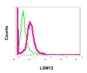 Flow Cytometry (Intracellular) - Anti-LSM12 antibody [EPR12282] (AB173291)