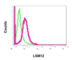 Flow Cytometry (Intracellular) - Anti-LSM12 antibody [EPR12282] - BSA and Azide free (AB249752)
