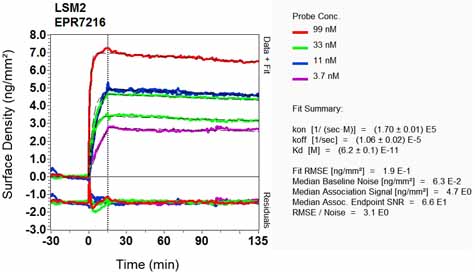 OI-RD Scanning - Anti-LSM2 antibody [EPR7216] - BSA and Azide free (AB248322), expandable thumbnail