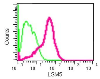 Flow Cytometry (Intracellular) - Anti-LSM5 antibody [EPR10690] - BSA and Azide free (AB250769)