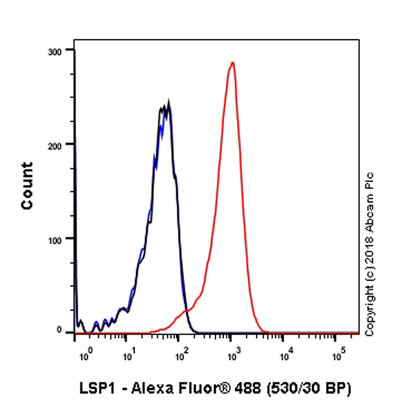 Flow Cytometry (Intracellular) - Anti-LSP1 antibody [EPR5997] (ab133506), expandable thumbnail