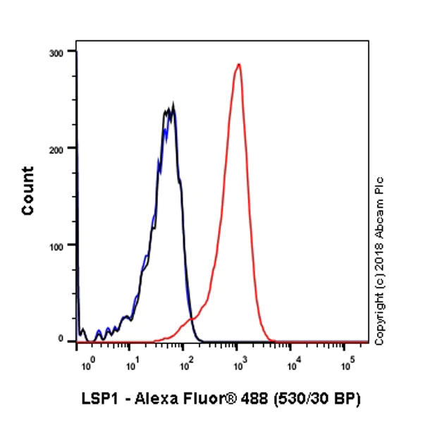 Flow Cytometry (Intracellular) - Anti-LSP1 antibody [EPR5997] - BSA and Azide free (AB240063)
