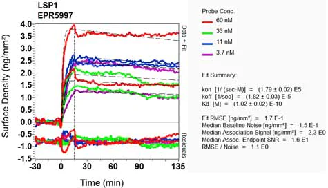 OI-RD Scanning - Anti-LSP1 antibody [EPR5997] - BSA and Azide free (AB240063)