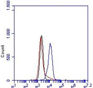 Flow Cytometry - Anti-LTBR antibody [5G11] (AB65089)