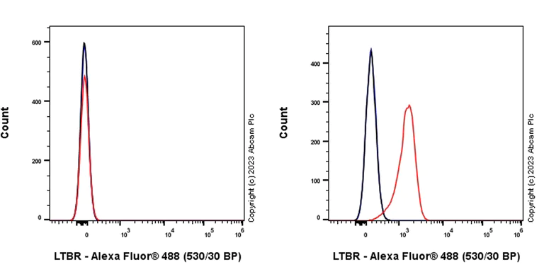 Flow Cytometry - Anti-LTBR antibody [EPR26097-53] - BSA and Azide free (AB309134)