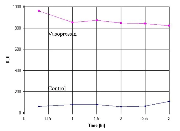 Functional Studies - Luciferase Reporter Assay Substrate Kit - Firefly (AB228530)