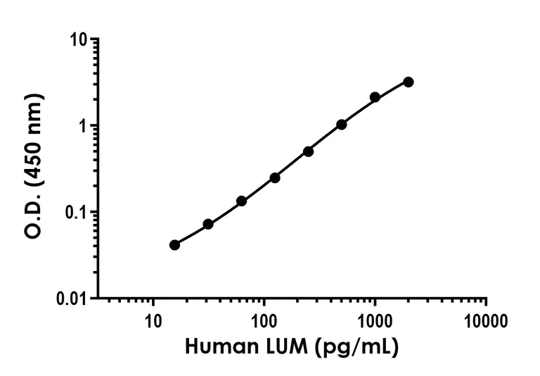 Sandwich ELISA - Anti-Lumican antibody [EPR24310-47] - BSA and Azide free (Detector) (AB278343)