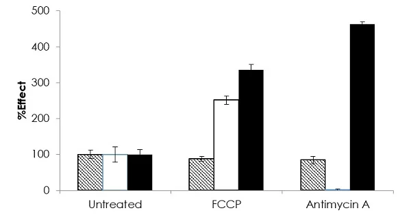 Functional Studies (Act) - Luminescent ATP Detection Assay Kit (AB113849)