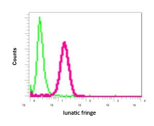 Flow Cytometry (Intracellular) - Anti-Lunatic Fringe antibody [EPR10391(B)] (AB151699), expandable thumbnail