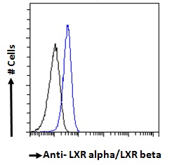 Flow Cytometry (Intracellular) - Anti-LXR alpha + LXR beta antibody (AB24362)