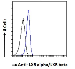 Flow Cytometry (Intracellular) - Anti-LXR alpha + LXR beta antibody (AB24362)