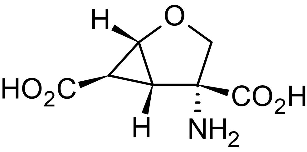 LY 379268, Group II mGlu agonist