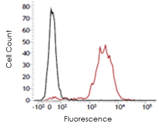 Flow Cytometry - Anti-Ly6c antibody [ER-MP20] (AB54223)