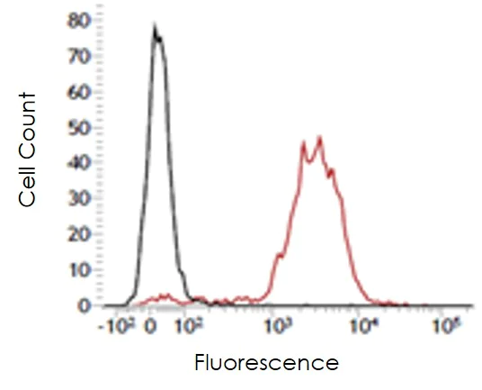 Flow Cytometry - Anti-Ly6c antibody [ER-MP20] (AB54223)