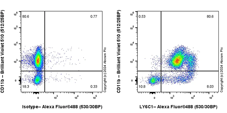 Flow Cytometry - Anti-LY6C antibody [RM1151] - BSA and Azide free (AB317273)